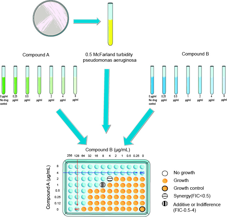 antimicrobial-synergy-testing-checkerboard-assay-creative-diagnostics